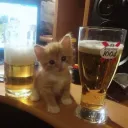 ꒰ ᥫ᭡ sᴏᴄɪᴀʟ ꜰʀᴀᴍᴇs ⸝⸝໒꒱ Discord Server Icon