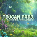 Toucan Productions