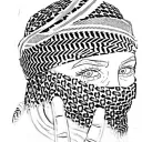 2+2=1 KURDISTAN discord icon