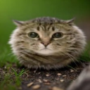 The dungeon's Discord server icon