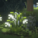 ◖🌲﹒⟡﹒Lifers Forest﹒→﹒ Discord server icon