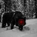 FURVISION CLAN