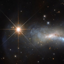 Wishlists and Wonders Discord server icon