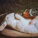 🥕 Follow The White Rabbit 🚬🐇