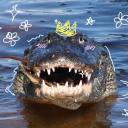 Terrorist Crocodiles Discord server icon