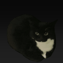 Maxcat-2's server