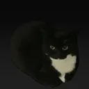 Maxcat-2's server