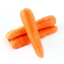 𝐁𝐢𝐫𝐝𝐬𝐞𝐞𝐝