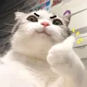 OSDVDD Discord server icon