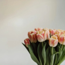 photograph Discord server icon