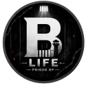 BLife V1
