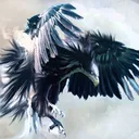 Eagles Arise