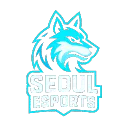 SEOUL ESPORTS