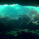 The Cove 21+ Discord server icon