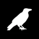 Crowsint