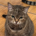 Hoii :P Discord Server Icon