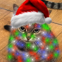 Discovery icon for Hoii :P Discord server