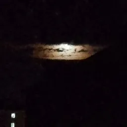 депресия БЕТА — мониторинг Discord сервера, статистика и рейтинг