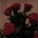 ✦ ⋆𝑅𝑜𝓈𝑒𝓁𝒾𝓉⋆✦