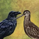 The Raven's Nest