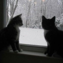 mourn Discord server icon