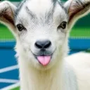 The Tennis Goat 🎾🐐