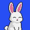 The Rabbit Hole