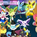 The Eeveelution Team