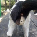 병신티비 Discord server icon