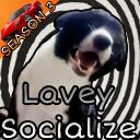 Lavey Socialize | Ask to Dm • Hangout • Call • Social • Chill • Anime • Emojis icon