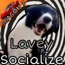 Lavey Socialize | Ask to Dm • Hangout • Call • Social • Chill • Anime • Emojis