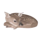 ✸ ⎯⎯𝖋𝗮𝘄𝗻𝘀，    𝓻𝗲𝘀𝗼𝘂𝗿𝗰𝗲𝘀   ...