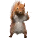 🐿🌰 | 𝕋𝕙𝕖 𝕋𝕣𝕖𝕖𝕙𝕠𝕦𝕤𝕖