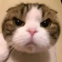 叉凪の蛹たち