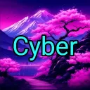 Cyber's server 2