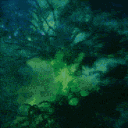 Idavoll, le dernier Eden
