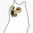 The Doge Community