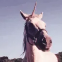 :3 | .gg/schizoid discord icon