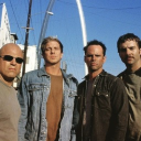 collateral Discord server icon