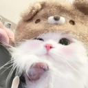 🌌The Davenport Cinema Club🎬 Discord server icon