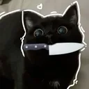 Noctrya 夜行性 | Clubhouse ⊹🐈˚₊