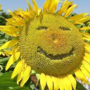 bOCtanical garden