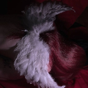 (revamping) 𝑩𝒍𝒐𝒐𝒅𝒎𝒐𝒐𝒏 𝑺𝒂𝒏𝒄𝒕𝒖𝒂𝒓𝒚 Discord server icon