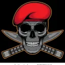 🔰⚜pointBLANK⚜🔰