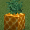 Pineapple Dev