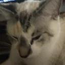 kevun Misato DeltaBloom Derpyyy Discord server icon