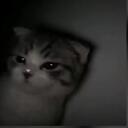/JoestarSaga   Discord Server Icon