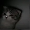 /JoestarSaga Discord Server Icon