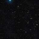 Filled Discord server icon