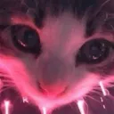 ʙᴀᴄᴋᴜᴘ